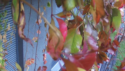 Diario d’estate/1. F4/, un’idea di fotografia alla Fondazione Fabbri