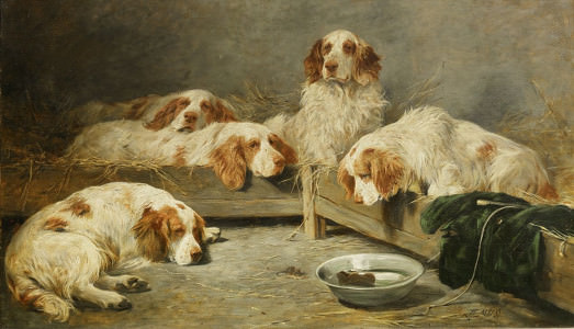 La rivincita dei cani