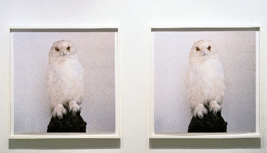 Alla Galleria Nazionale di Roma, una mostra diluita nella collezione. Desiderio di nuove acquisizioni? Alla Galleria Nazionale di Roma, una mostra diluita nella collezione. Desiderio di nuove acquisizioni?