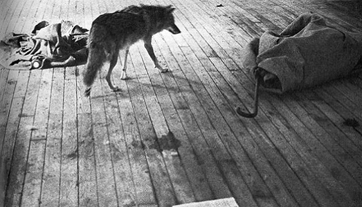 Anish Kapoor il predicatore, un po’ in ritardo, e non troppo originale. Ecco la sua idea per protestare contro la presidenza di Donald Trump