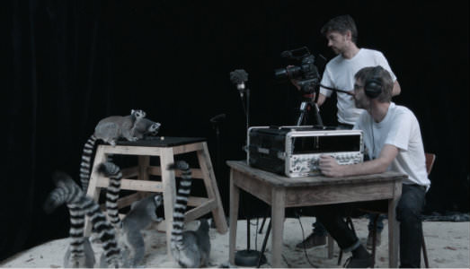 Kaluchua signifca creare insieme. A Treignac, una mostra dedicata alla collaborazione tra specie