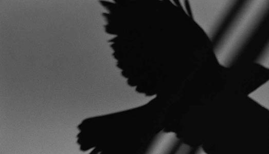 La fine di un amore vista da Masahisa Fukase |