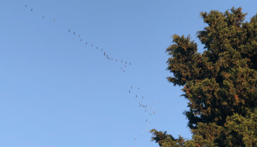 Rigenerazione del paesaggio culturale salentino: a Lecce il progetto LandXcape Rigenerazione del paesaggio culturale salentino: a Lecce il progetto LandXcape