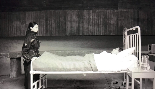 Il giardino dopo il disastro. La fantascienza di Larissa Sansour al Padiglione danese a Venezia