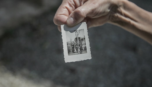 Cosa cresce in un giardino segreto? A Palazzo dei Priori di Volterra, la mostra di Laura Cionci