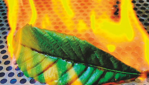 Ora il lavoro! A Bologna, il concerto parlato di Ateliersi che rilegge Luigi Pirandello