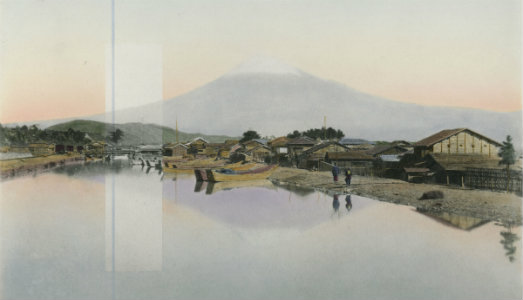 Dal fiore alla montagna. Linda Fregni Nagler apre il progetto espositivo di Banca Generali