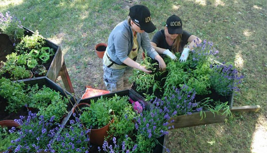 Lo spirituale nella natura e nell’arte. A Palermo, Cassata Drone presenta i progetti di LOCUS