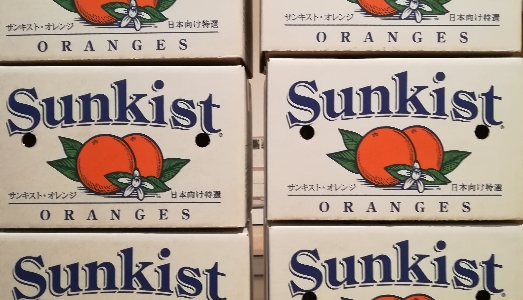 Qui Los Angeles/9. All’Hammer Museum la retrospettiva dedicata all’istrionico Allen Ruppersberg