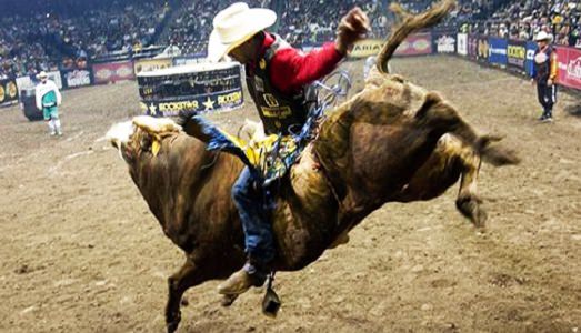 Le ataviche domande sull’arte in un rodeo. A Livorno Luca Rossi mette in scena il suo nuovo show: chi resterà in sella?