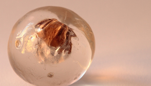 Fino al 31.I.2017 | Clara Luiselli, Crisalidi | Galleria Nuvole Arte Contemporanea, Montesarchio Fino al 31.I.2017 | Clara Luiselli, Crisalidi | Galleria Nuvole Arte Contemporanea, Montesarchio