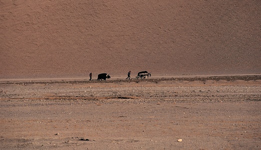 “Maheela”, ovvero tre fotografi per le donne del Nepal. E gli scatti in vendita, per sostenere una causa più che umanitaria | “Maheela”, ovvero tre fotografi per le donne del Nepal. E gli scatti in vendita, per sostenere una causa più che umanitaria |