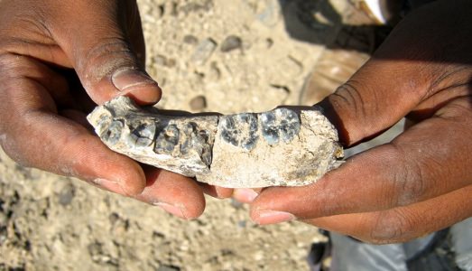 L’uomo, 400mila anni prima L’uomo, 400mila anni prima
