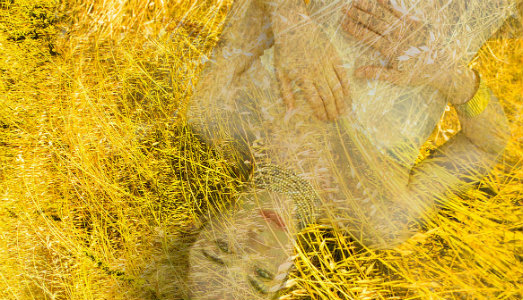 A Milano, Gilda Contemporary Art celebra il solstizio d’estate con un giardino allegorico