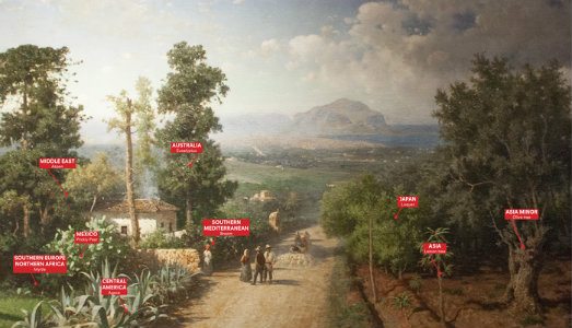 La Biennale nomade sulla strada della complessità. Manifesta presenta Palermo Atlas