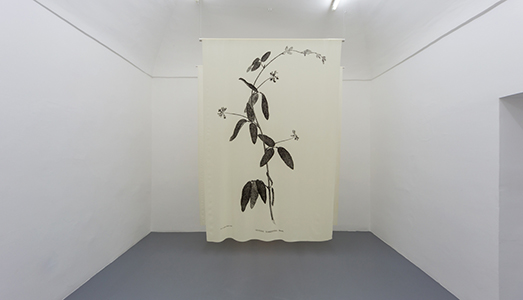 Fino al 22.II.2017 | Pedro Neves Marques, Learning to Live with Other Bodies | Galleria Umberto Di Marino, Napoli Fino al 22.II.2017 | Pedro Neves Marques, Learning to Live with Other Bodies | Galleria Umberto Di Marino, Napoli