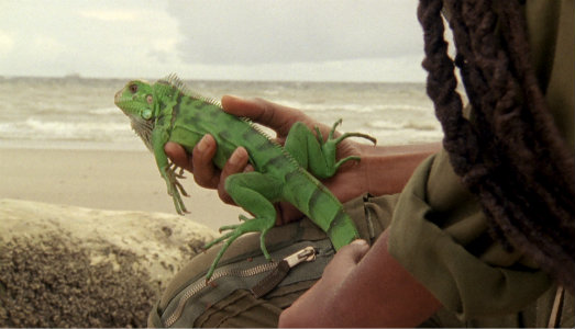 Da Martin Kippenberger e Maria Lassnig, al Mediteranneo. Il nuovo anno del Museion