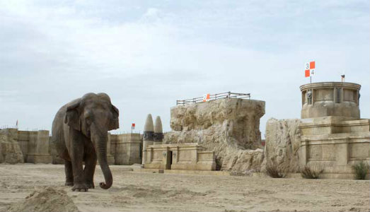 Buon sangue non mente. La mostra dei finalisti del MAXXI Bulgari Prize mantiene le promesse