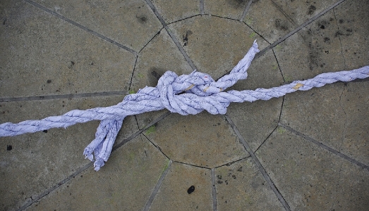 La strada del MAXXI porta fuori dal museo. Due giorni di performance diffuse a Roma