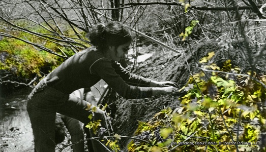 Dov’è Ana Mendieta? Al PAC di Milano, in esclusiva, il documentario “Nature Inside”, anche per rispondere sull’assenza dell’artista nella “nuova” Tate di Londra Dov’è Ana Mendieta? Al PAC di Milano, in esclusiva, il documentario “Nature Inside”, anche per rispondere sull’assenza dell’artista nella “nuova” Tate di Londra