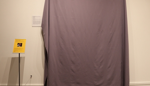 Il Metropolitan celebra la Giornata dei Rifugiati coprendo Chagall e Mondrian