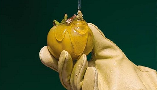 #arthoney. Miart sceglie l’operosità e la dolcezza, con una nuova comunicazione legata al tema dell’apicultura