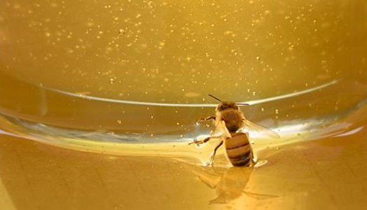 Sfondare i limiti tra cinema e arte visiva. Ecco l’ultima novità in casa miart, che si consorzia con “In Between Art Film” per i suoi talks Sfondare i limiti tra cinema e arte visiva. Ecco l’ultima novità in casa miart, che si consorzia con “In Between Art Film” per i suoi talks