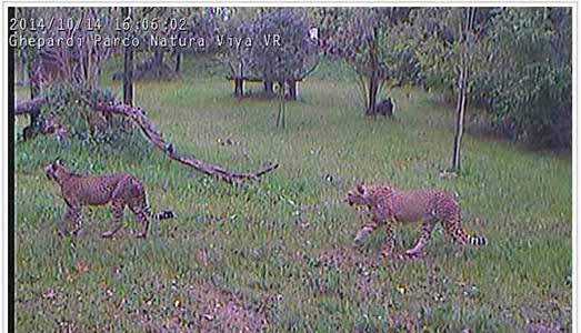 Fino al 23.I.2015 | Michela De Mattei | Ex Elettrofonica, Roma