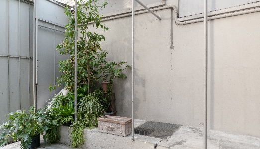 Milano Design Week/3. Alcova raddoppia e porta la creatività in una ex fabbrica di cashmere