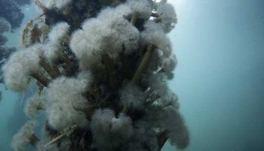 Milano Design Week/4. Alla Triennale, l’architettura dell’Antropocene, vista dall’Artico