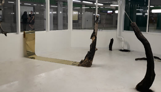 Il legno e i sogni che bruciano. Da Spazio Serra a Milano, una mostra per gli incendi boschivi