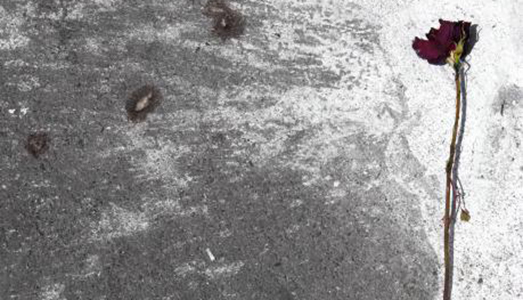 Fino al 25.X.2017 | Ezia Mitolo. La vita difficile dei fiori | Museo Nuova Era, Bari Fino al 25.X.2017 | Ezia Mitolo. La vita difficile dei fiori | Museo Nuova Era, Bari