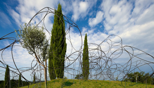 Un museo a cielo aperto per Now Summer School. Al via il workshop dell’azienda friulana Felluga