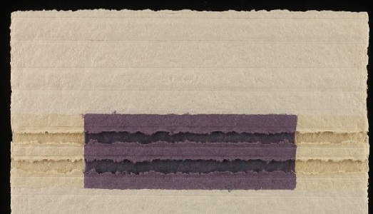 Venezia/1. Le architetture della natura di Nancy Genn a Palazzo Ferro Fini