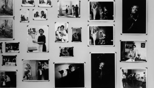 New York Art Week/4. L’impegno del Whitney e la splendida “Survey” di Zoe Leonard
