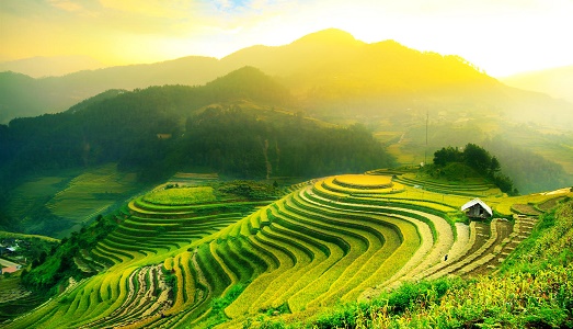 Torino. Artissima e oltre/10. Noa Noa Art Residency; da The Others un’open call speciale, per un progetto tra natura e arte contemporanea, in Indonesia