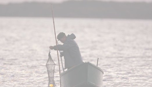 Dieci giovani artisti in un appartamento di Brera Dieci giovani artisti in un appartamento di Brera