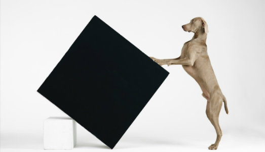 Il nuovo anno del MASI di Lugano, dal surrealismo svizzero alla fotografia internazionale