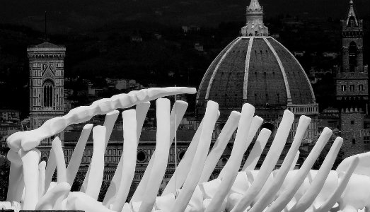 Oggetto vivente. A Foligno, l’omaggio di Franco Cecchini alla Calamita di Gino De Dominicis