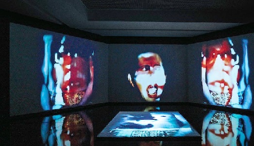 Onirica Nalini Malani. La sacerdotessa dell’arte indiana al Pompidou e al Castello di Rivoli