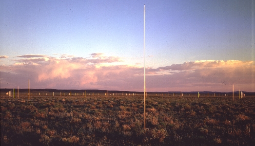 L’arte dove non te lo aspetti. Da Yoyoi Kusama a Walter De Maria, opere ai confini del mondo L’arte dove non te lo aspetti. Da Yoyoi Kusama a Walter De Maria, opere ai confini del mondo