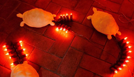 Fino al 31.VII.2015 | Giovanni Albanese, Tartarughe felici | Pio Monti Arte Contemporanea, Roma Fino al 31.VII.2015 | Giovanni Albanese, Tartarughe felici | Pio Monti Arte Contemporanea, Roma