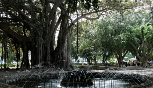 Palermo Art Week/2. Un gin&tonic performativo nei giardini di Villa Garibaldi, con The Mega View