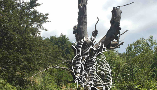 Il cuore degli alberi è il nostro. Al Parco Nazionale d’Abruzzo, arte e natura in dialogo
