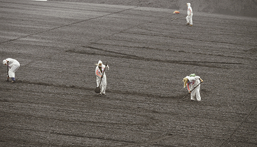 Curatorial Practices | Adrian Parr