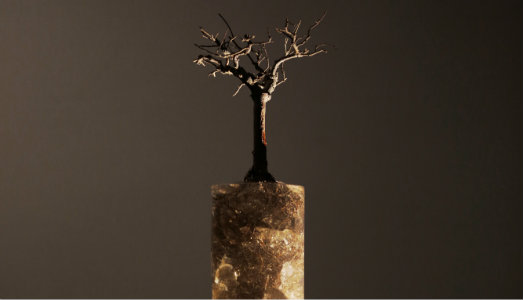 Il confine tra il caos e l’ordine. L’opera di Giulia Manfredi vince il Premio Cramum