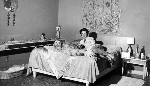 Peggy, prove per un blockbuster. A New York due settimane di proiezioni per l’attesissimo film sulla vita della Guggenheim Peggy, prove per un blockbuster. A New York due settimane di proiezioni per l’attesissimo film sulla vita della Guggenheim