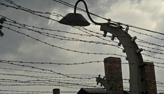 Documenta contestata. La Auschwitz di Franco Berardi sostituita da un dibattito pubblico