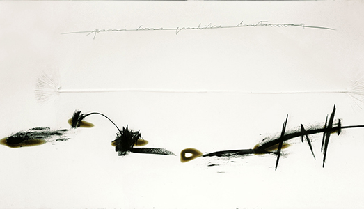 Fino al 15.I.2017 | Agostino Perrini – Exsiccata | Galleria Civica Cavour, Padova