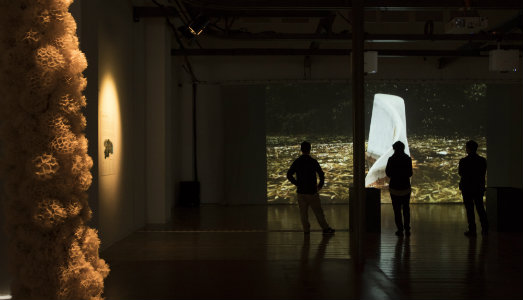 Un legame da rinnovare. A Pescara, una doppia mostra ricorda la Biennale Arte-Natura